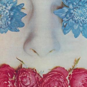 406777_473893136011977_1490564089_n